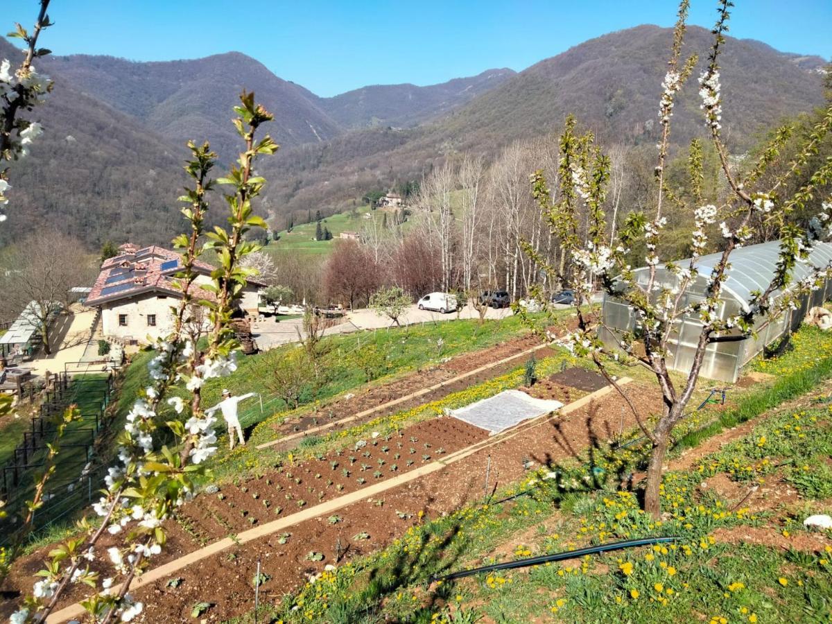 Agriturismo Ca' Fenile Alzano Lombardo Exterior photo