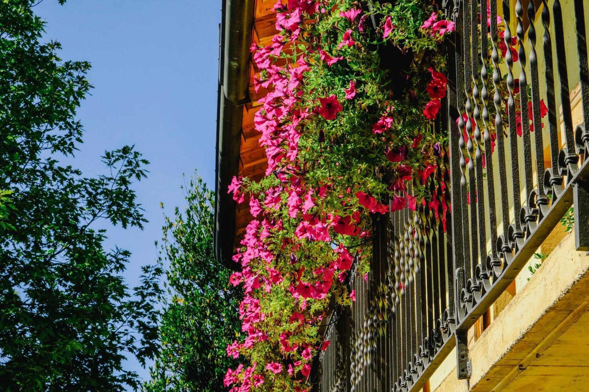 Agriturismo Ca' Fenile Alzano Lombardo Exterior photo